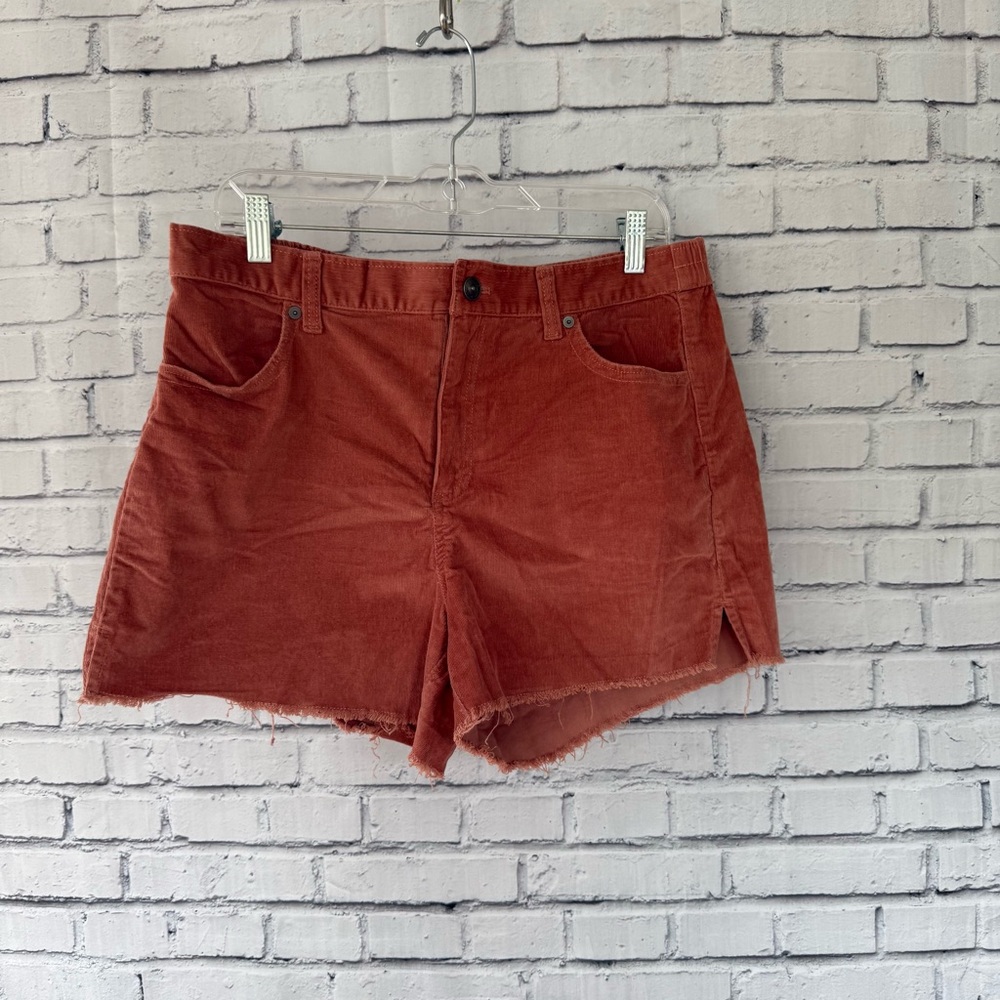 Aerie‎ Rust Jean Shorts